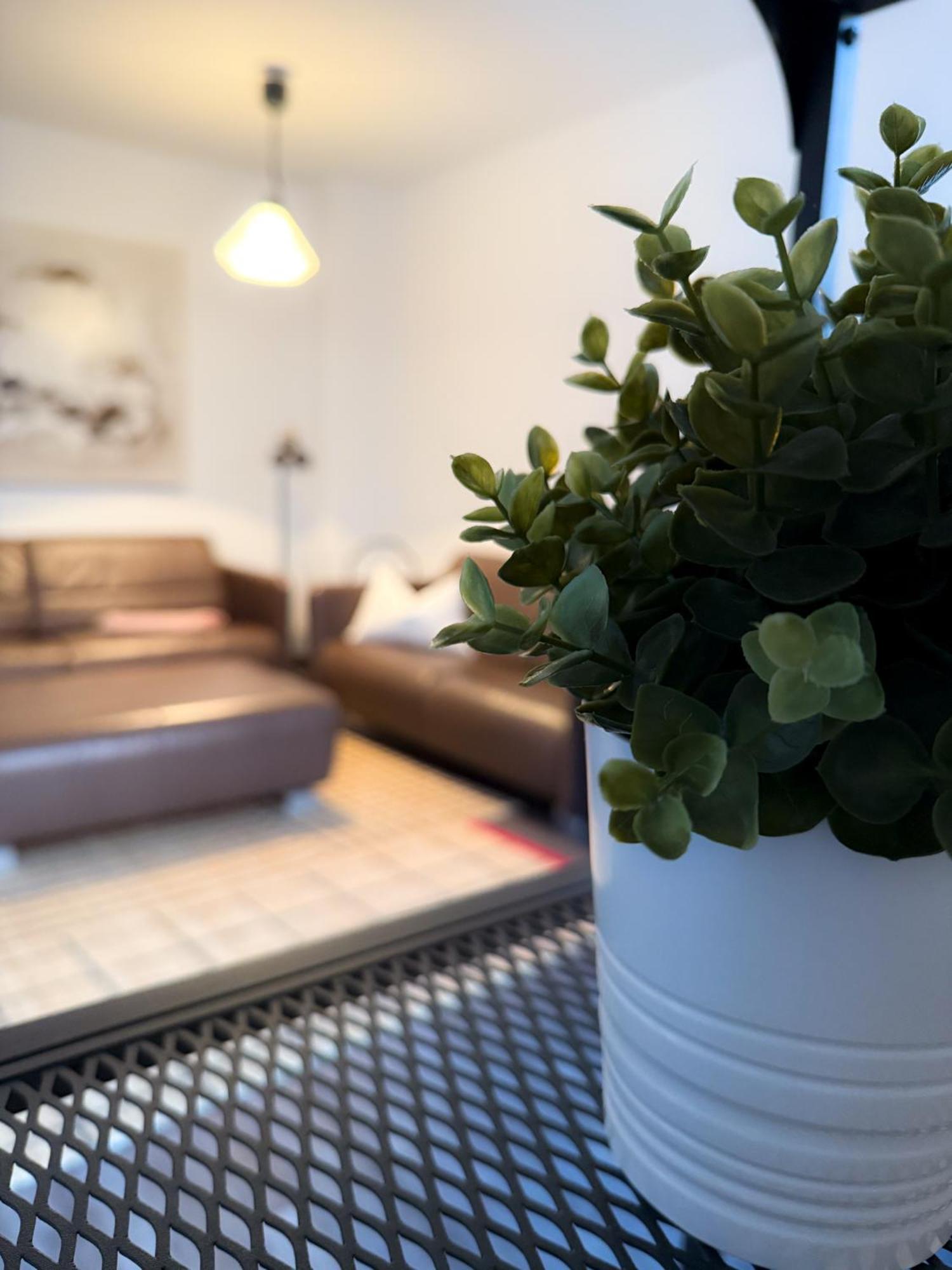 Alexxanders Apartments & Studios Chemnitz Habitación foto